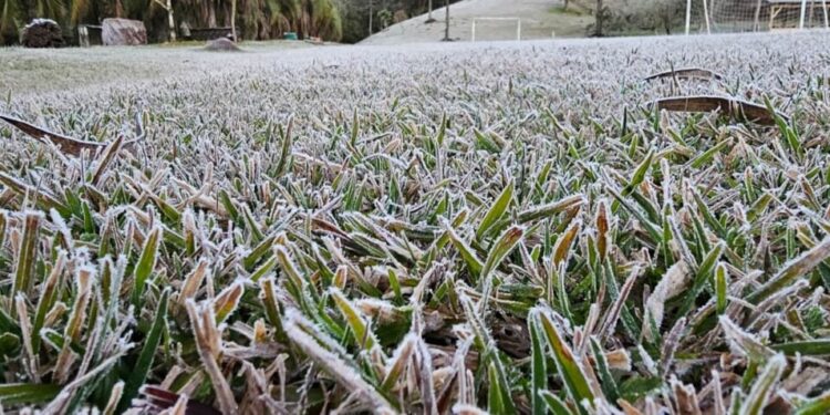 Paraná registra temperatura de -2,8°C e pode ter nova onda de frio no início de setembro
