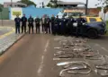 Foztrans e GM destroem cerca de 100 escapamentos irregulares
