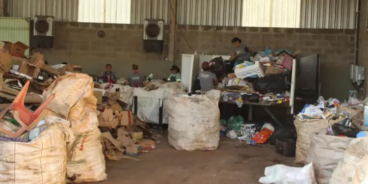 Coleta seletiva de Foz do Iguaçu gera renda para mais de 160 trabalhadores