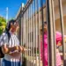 Foz mantém dengue sob controle e prepara nova etapa do método Wolbachia para atender toda a cidade
