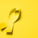 Setembro Amarelo terá campanha trinacional com ações de saúde mental na fronteira