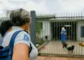 Saúde alerta para risco de aumento de casos de dengue e chikungunya em Foz do Iguaçu