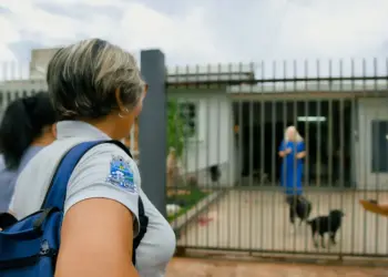 Saúde alerta para risco de aumento de casos de dengue e chikungunya em Foz do Iguaçu
