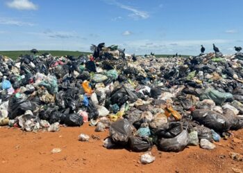 Mais de 1 milhão de paranaenses vivem em cidades sem plano formal para gestão de resíduos