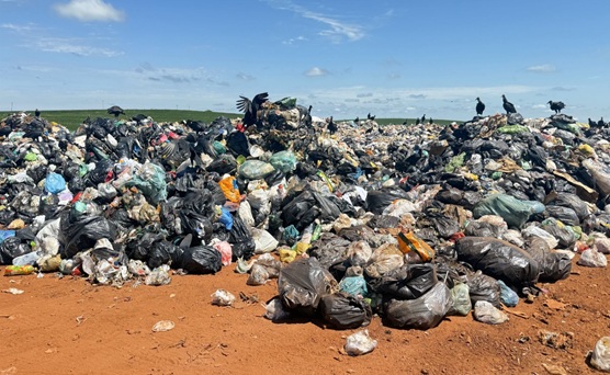 Mais de 1 milhão de paranaenses vivem em cidades sem plano formal para gestão de resíduos