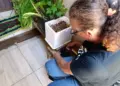 El Niño acende alerta no Paraná para risco de aumento de casos de dengue