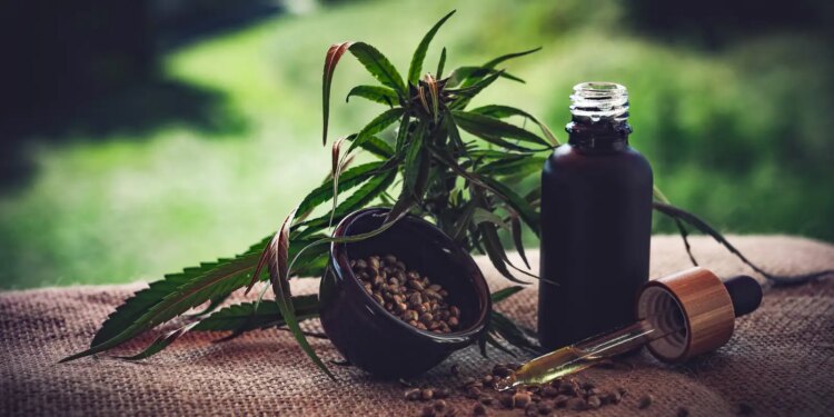 © CBD-Infos-com/ Pixabay