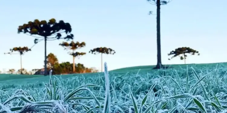 Frio ganha força no Paraná e temperaturas podem cair abaixo dos 10°C