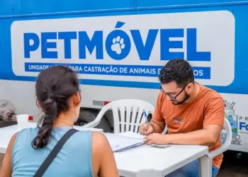 Foz do Iguaçu chega a 5 mil castrações gratuitas de cães e gatos e prepara novos atendimentos
