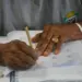 Prefeitura abre inscrições para prova de certificação da EJA em Cascavel