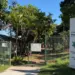 Câmara questiona estrutura, recursos e condições de trabalho no CCZ