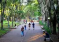 Ganhando o Mundo da Ciência oferece até 65 vagas de intercâmbio