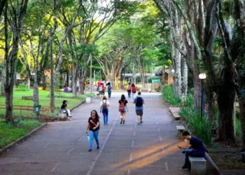 Ganhando o Mundo da Ciência oferece até 65 vagas de intercâmbio