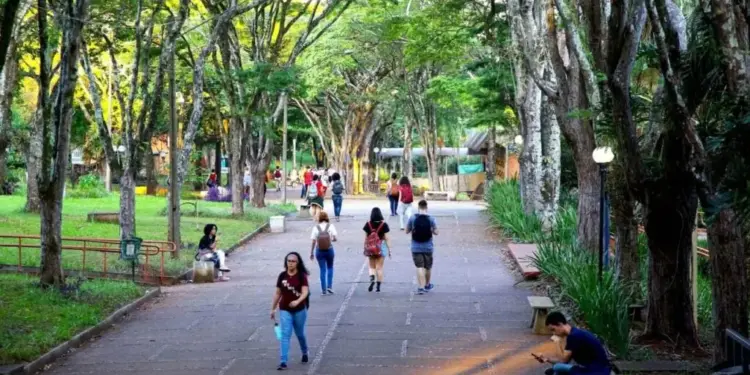 Foto: Reprodução.