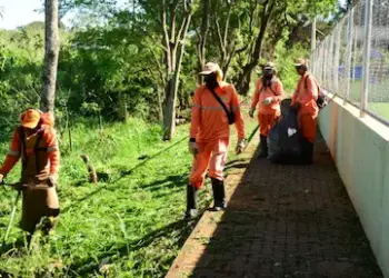 Região Nordeste está mobilizada para mutirão de zeladoria