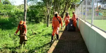 Região Nordeste está mobilizada para mutirão de zeladoria