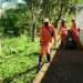Região Nordeste está mobilizada para mutirão de zeladoria