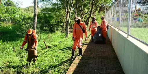 Foto: Reprodução.