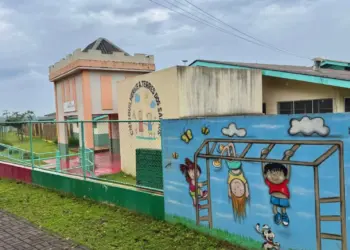 Requerimento solicita dados sobre vagas e atendimento nos CMEIs de Foz do Iguaçu
