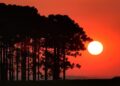 Onda de calor coloca todo o Paraná em alerta vermelho até quarta-feira