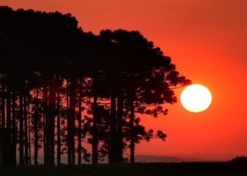 Onda de calor coloca todo o Paraná em alerta vermelho até quarta-feira