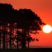 Onda de calor coloca todo o Paraná em alerta vermelho até quarta-feira