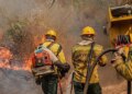 Amazonas recebe aeronaves para combater queimadas