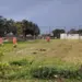 Região Norte recebe novo mutirão de limpeza e zeladoria a partir de segunda-feira (5)