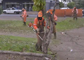 Foz retira quase 3 mil toneladas de resíduos em 15 mutirões de limpeza