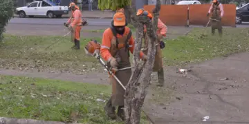 Foz retira quase 3 mil toneladas de resíduos em 15 mutirões de limpeza