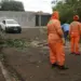 Força-tarefa atende 35 ocorrências após temporal em Foz e segue com retirada de galhos