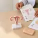 Foz já tem diretrizes para ampliar acesso a contraceptivos de longa duração pelo SUS