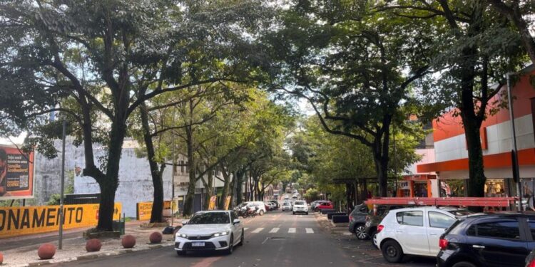 Foto: Reprodução.