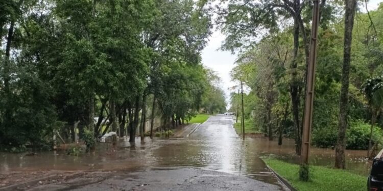 Foto: Reprodução.
