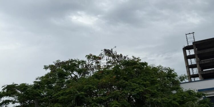 Foto: Reprodução.