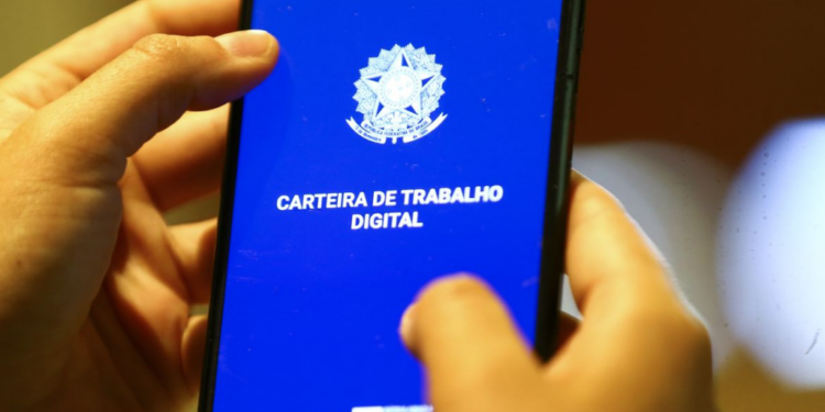 Foto: Reprodução.