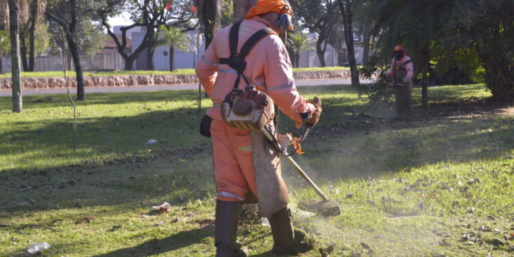 Foto: Reprodução.