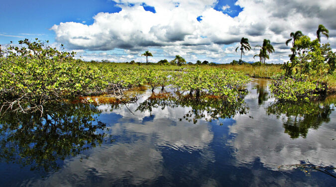 Foto: Denis Ferreira Netto/SEDEST