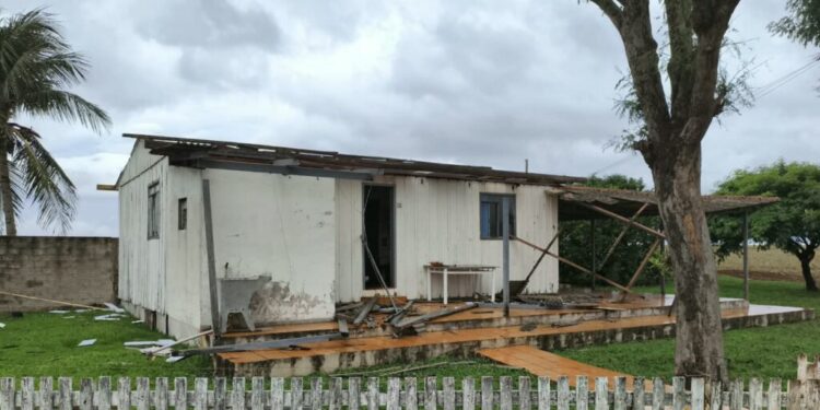 Foto: Reprodução.
