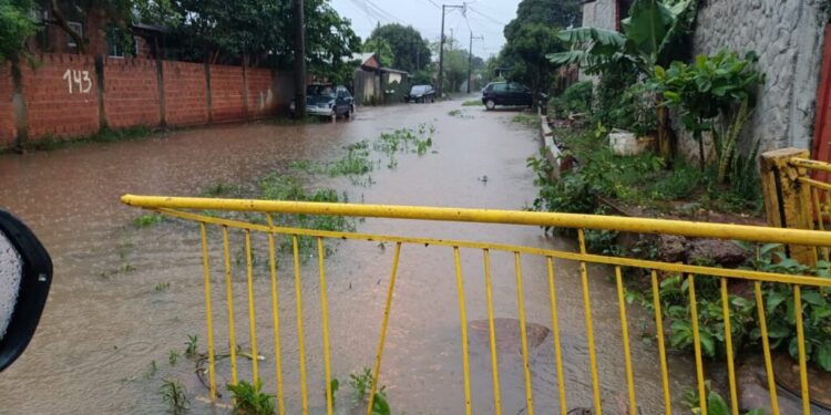 Foto: Reprodução.