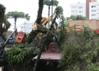 Temporais atingem 40 cidades e quase 14 mil pessoas no Paraná