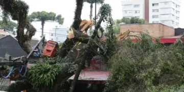 Temporais atingem 40 cidades e quase 14 mil pessoas no Paraná