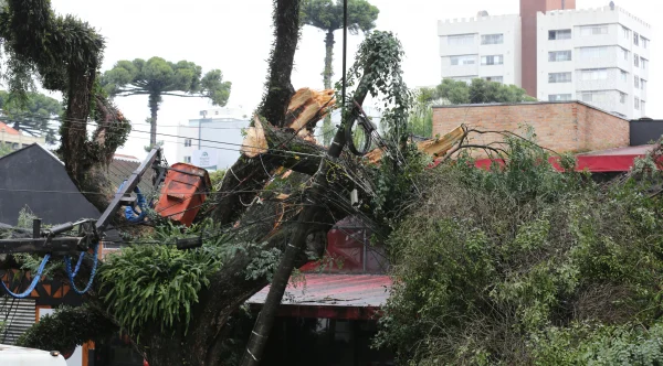 Foto: Reprodução.